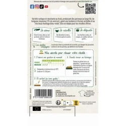 Poireau BLEU DE SOLAISE - VILMORIN