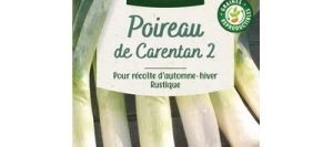 Poireau De CARENTAN 2 - VILMORIN
