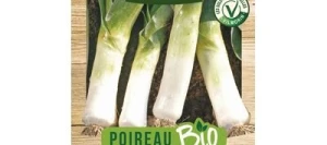 Poireau De CARENTAN 2 BIO - VILMORIN