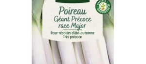 Poireau Géant Précoce race MAJOR - VILMORIN