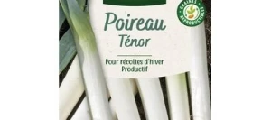 Poireau TÉNOR - VILMORIN