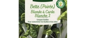 Poirée Blonde à Carde Blanche 2 - VILMORIN