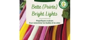 Poirée Bright Ligths - VILMORIN