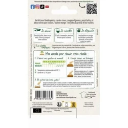 Poirée Bright Ligths - VILMORIN