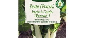 Poirée Verte à Carde Blanche 3 - VILMORIN