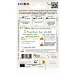 Poirée Verte à Carde Blanche 3 - VILMORIN