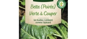 Poirée Verte à Couper - VILMORIN
