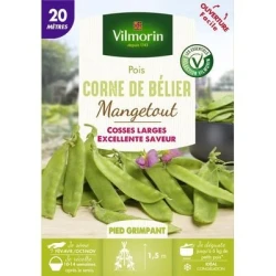 Pois mangetout CORNE DE BELIER - VILMORIN