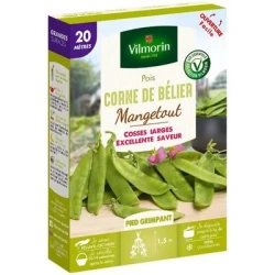 Pois mangetout CORNE DE BELIER - VILMORIN