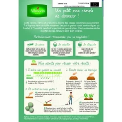 Petit pois DOUCE PROVENCE - VILMORIN