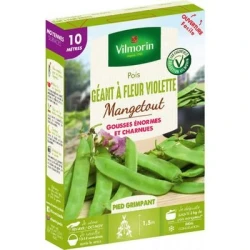 Pois mangetout GÉANT Á FLEUR VIOLETTE - VILMORIN