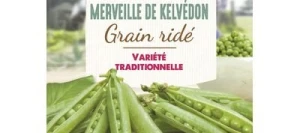 Petit pois MERVEILLE DE KELVÉDON - VILMORIN