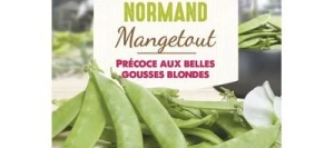 Pois mangetout NORMAND - VILMORIN