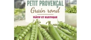 Petit pois PETIT PROVENÇAL - VILMORIN