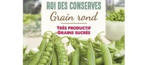 Petit pois ROI DES CONSERVES - VILMORIN