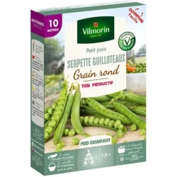 Petit pois SERPETTE GUILLOTEAUX - VILMORIN