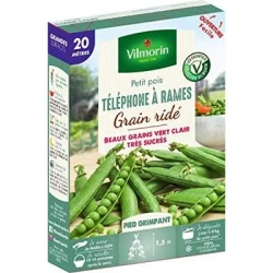 Petit pois TÉLÉPHONE Á RAMES - VILMORIN