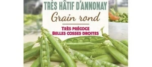 Petit pois TRÈS HÂTIF D'ANNONAY - VILMORIN