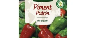 Poivron PADRÓN - VILMORIN