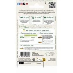 Poivron PREDI HF1 - VILMORIN