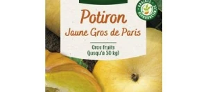 Potiron JAUNE GROS DE PARIS - VILMORIN