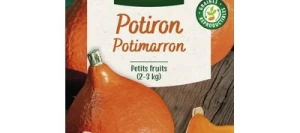Potiron POTIMARRON - VILMORIN