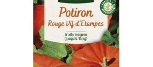 Potiron ROUGE VIF D'ETAMPES - VILMORIN