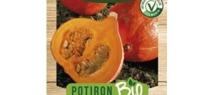 Potiron UCHIKI KURI BIO - VILMORIN