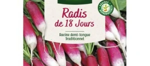 Radis de 18 jours - VILMORIN