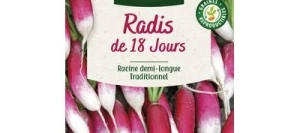 Radis de 18 jours - VILMORIN