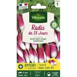 Radis de 18 jours - VILMORIN