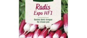 Radis Demi-long EXPO HF1 - VILMORIN