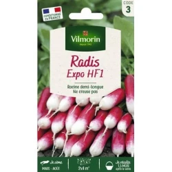 Radis Demi-long EXPO HF1 - VILMORIN