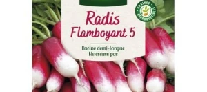 Radis FLAMBOYANT 5 - VILMORIN