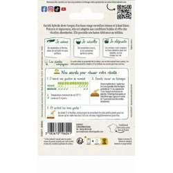 Radis KOCTO HF1 - VILMORIN