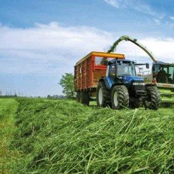 Conservateur biologique NUTRI GOAL GS