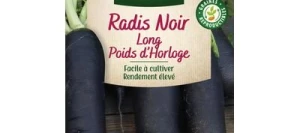 Radis Noir Long POIDS d'HORLOGE - VILMORIN