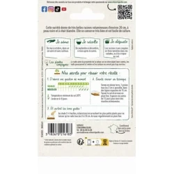 Radis Noir Long POIDS d'HORLOGE - VILMORIN