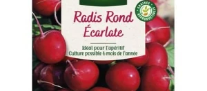 Radis Ronds ÉCARLATE - VILMORIN
