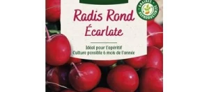 Radis Ronds Écarlate - VILMORIN