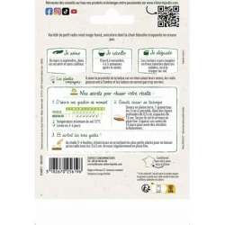 Radis Ronds Écarlate - VILMORIN