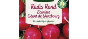 Radis Ronds Écarlate Géant de Würzbourg - VILMORIN