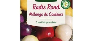 Radis Ronds Mélange de Couleurs - VILMORIN