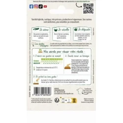 Radis Ronds TINTO HF1 - VILMORIN