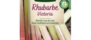 Rhubarbe VICTORIA - VILMORIN