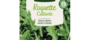 Roquette Cultivée - VILMORIN