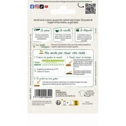 Roquette Cultivée - VILMORIN