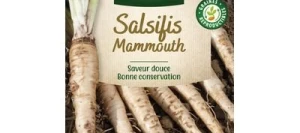 Salsifis MAMMOUTH - VILMORIN
