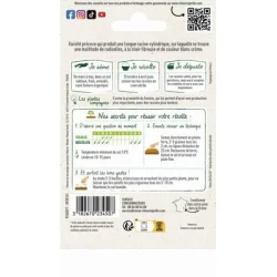 Salsifis MAMMOUTH - VILMORIN