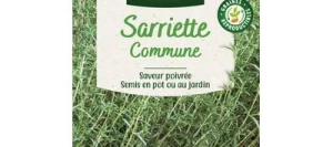 Sarriette Commune - VILMORIN